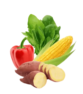 Vegetables